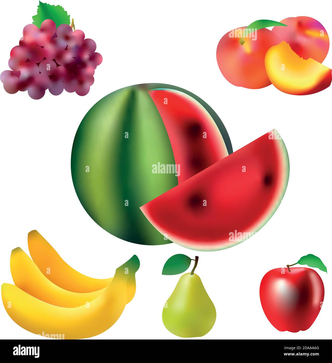 Realistic vector pictures of fresh fruits and vegetables Stock Vector Image  & Art - Alamy