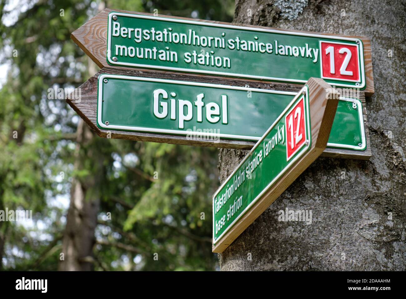 Guidepost on a tree trunk at the mountain ' Großer Arber ' pointing to the mountain station and the Gipfel ( peak ). Seen in the Bavarian Forest in Ge Stock Photo