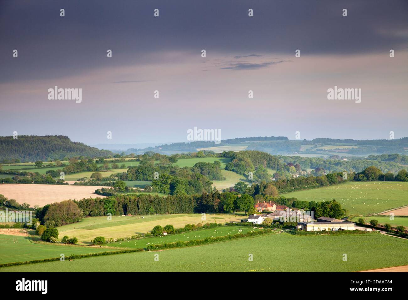 Farmland near the village of Swallowcliffe in Wiltshire, viewed from Swallowcliffe Down. Stock Photo