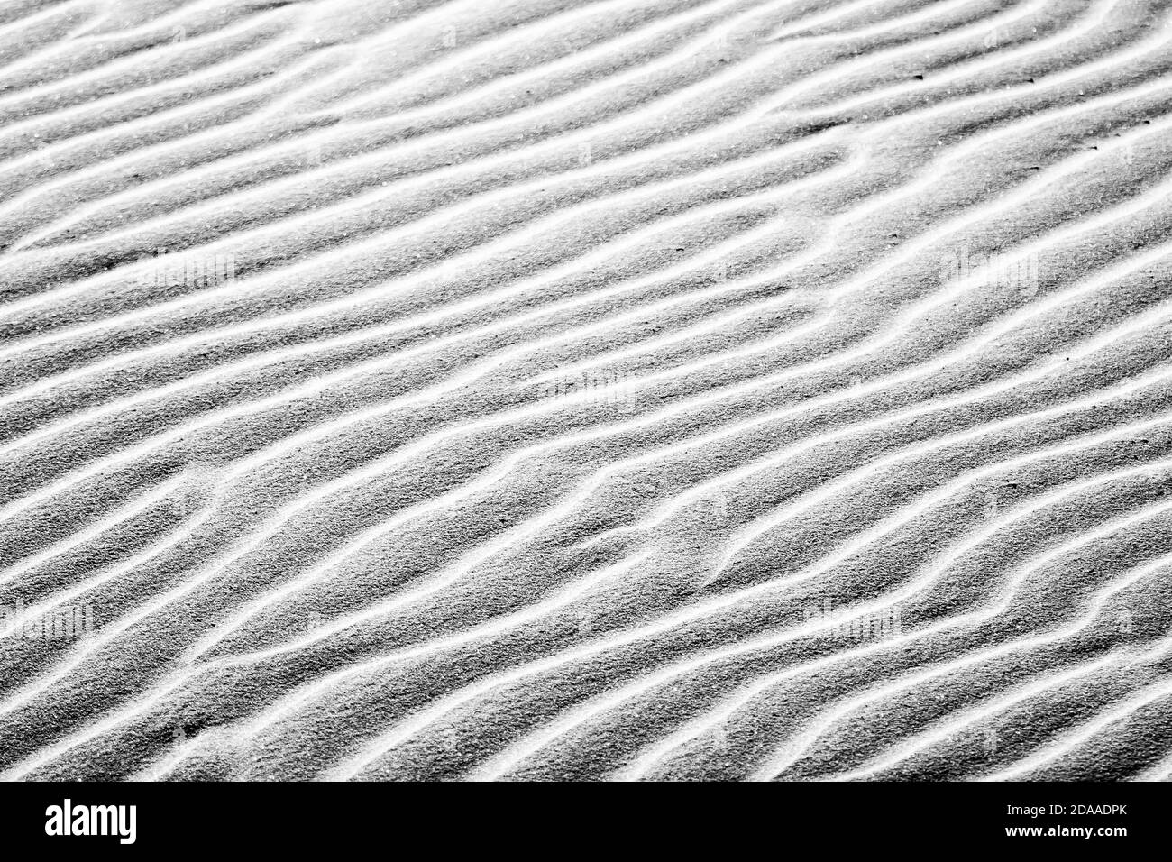 Baltic travel Black and White Stock Photos & Images - Alamy