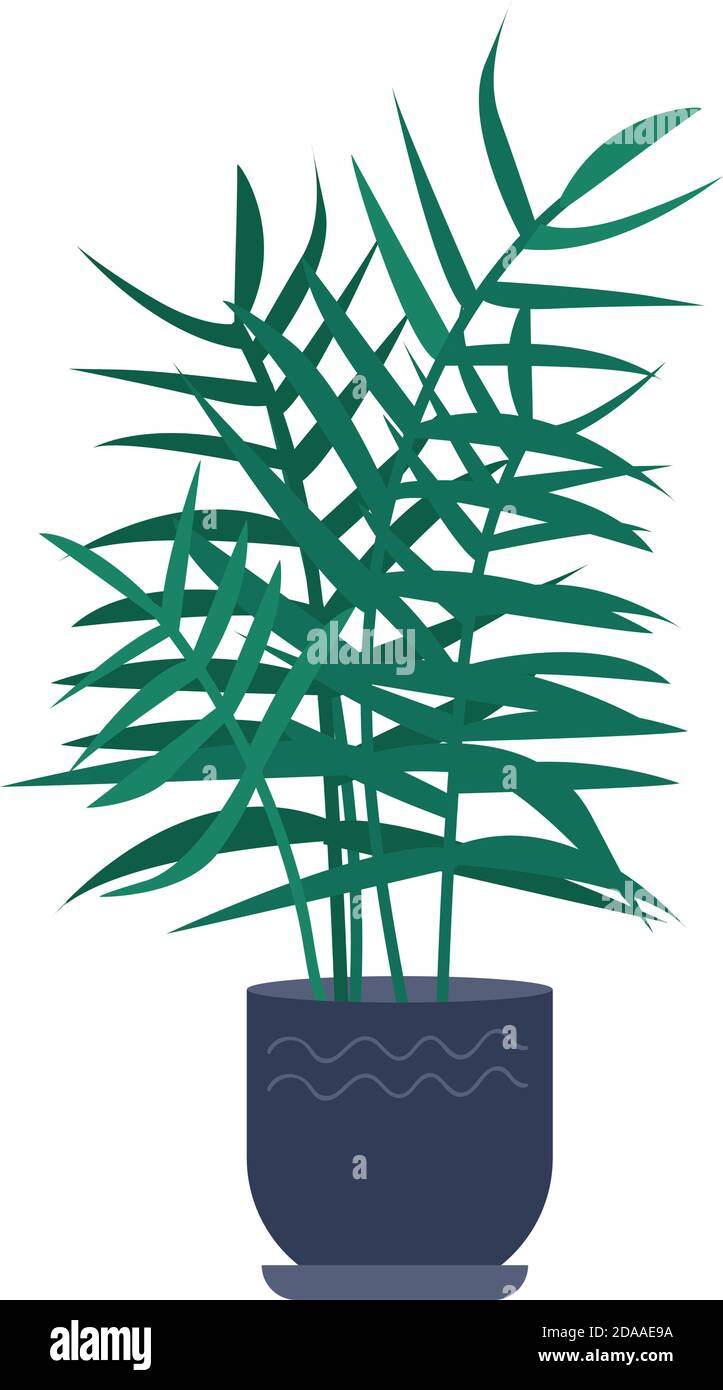 Decorative palm tree cartoon vector illustration Stock Vector
