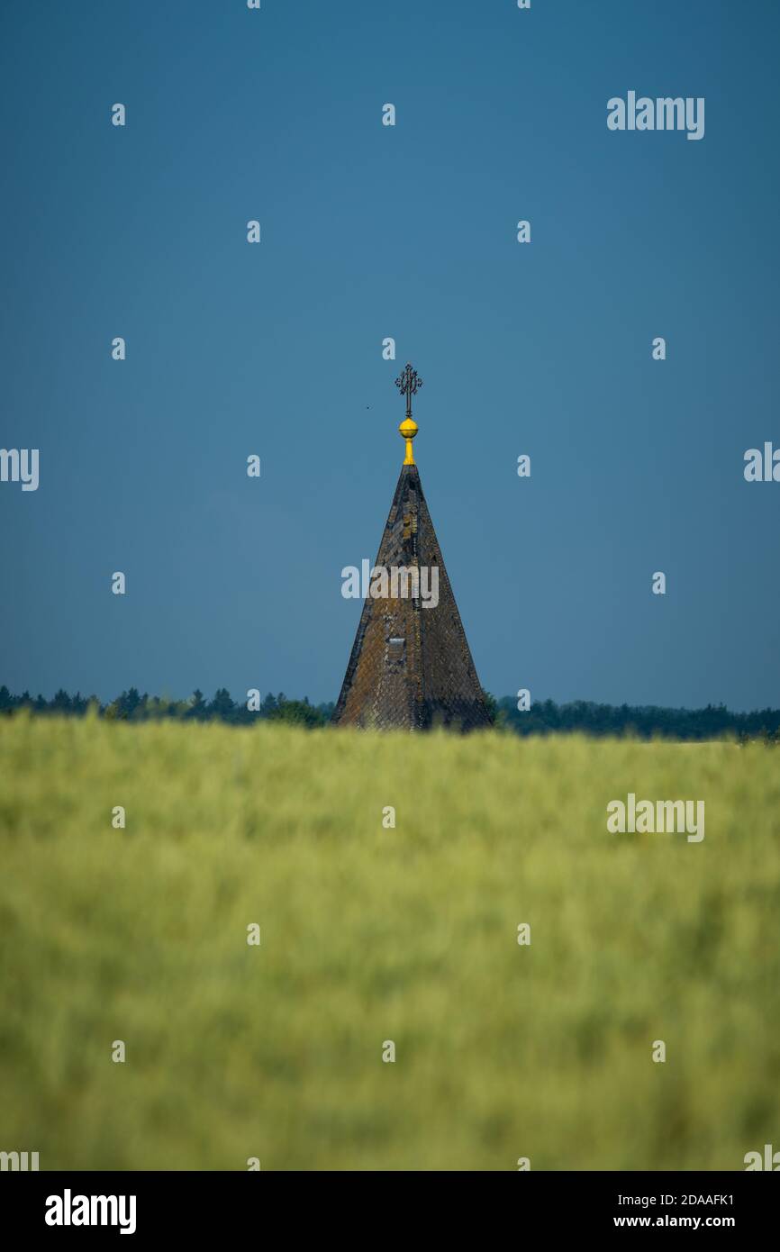 Typical lower bavarian church bell tower hidden behind hill with field of growing wheat against blue sky Stock Photo