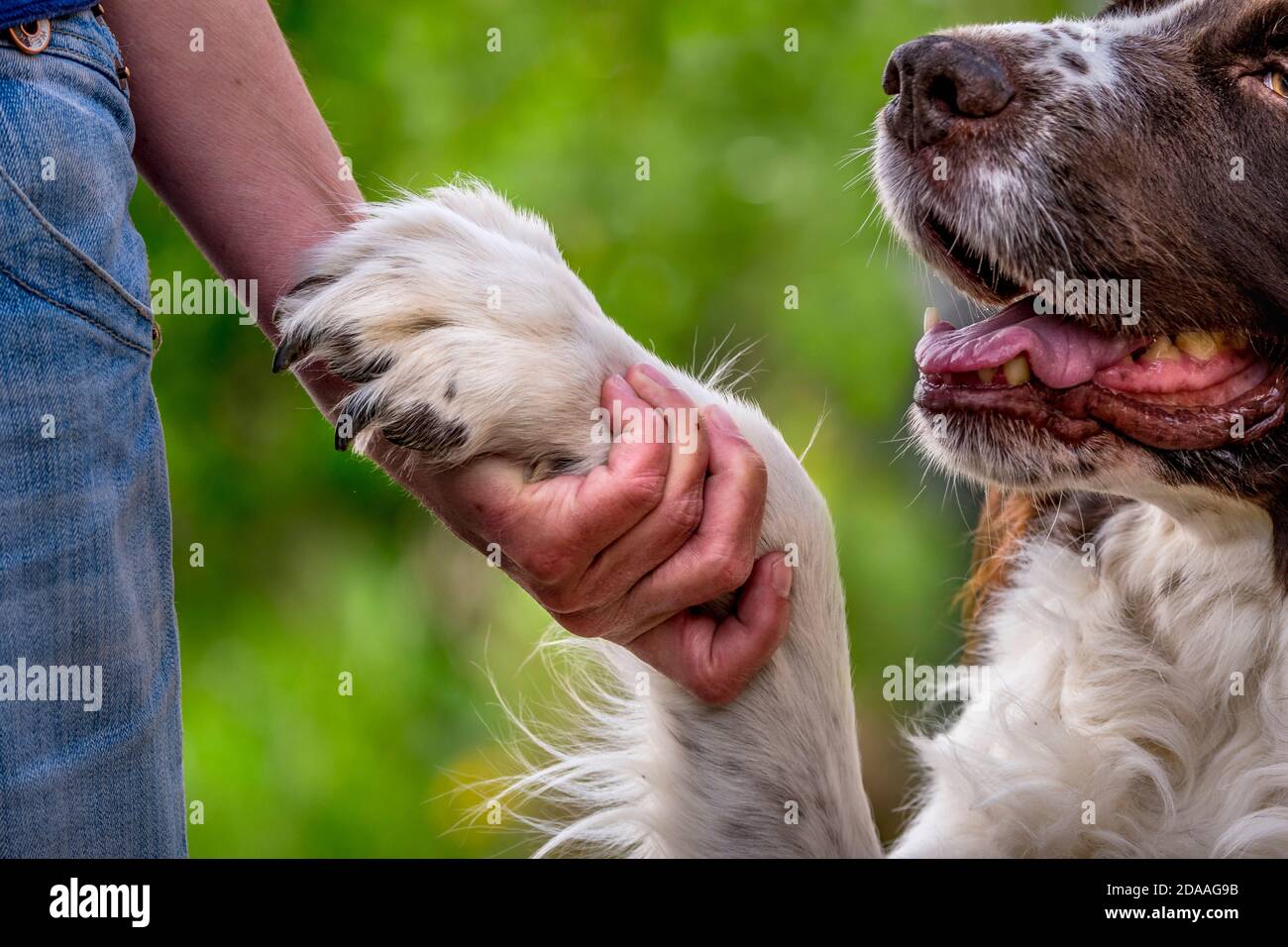 Communication human animal hi-res stock photography and images - Alamy