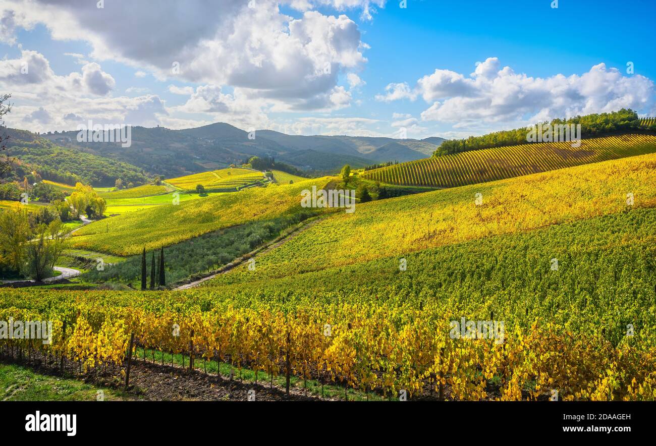 Radda in Chianti vineyard and panorama in autumn. Tuscany, Italy Europe. Stock Photo