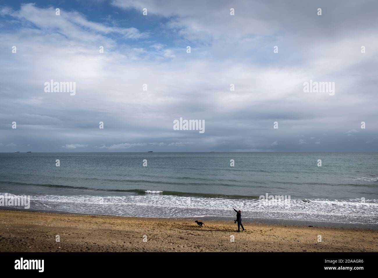 Man exercising his dog on Sandown beach, Isle of Wight Stock Photo