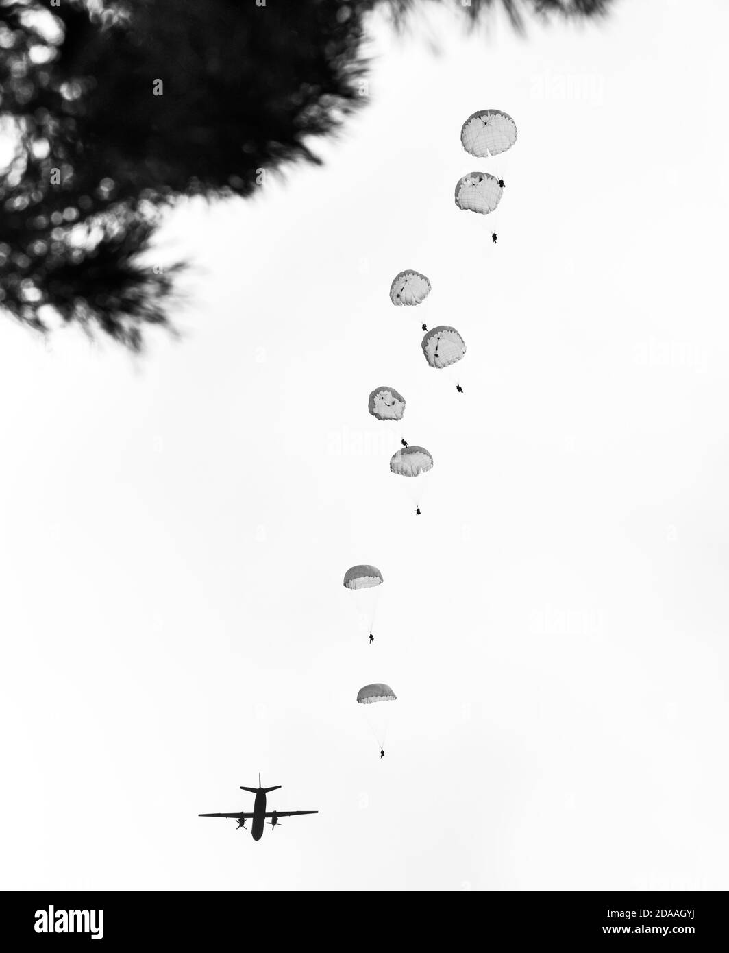 Ukrainian military aircraft Black and White Stock Photos & Images - Alamy