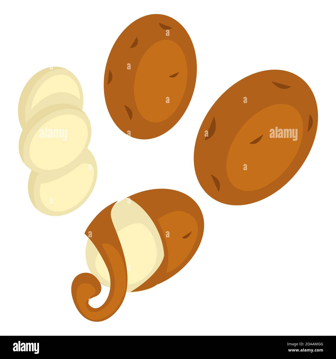 Potato peel or exotic fruit or vegetable vector Stock Vector