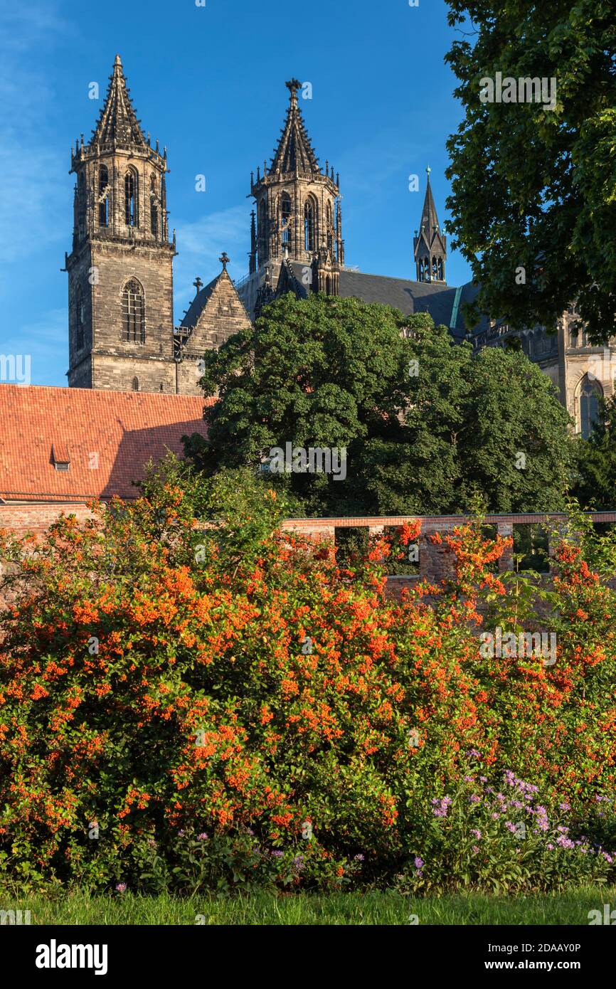 geography / travel, Germany, Saxony-Anhalt, Magdeburg, Magdeburg cathedral in the old town, Magedburg, Additional-Rights-Clearance-Info-Not-Available Stock Photo