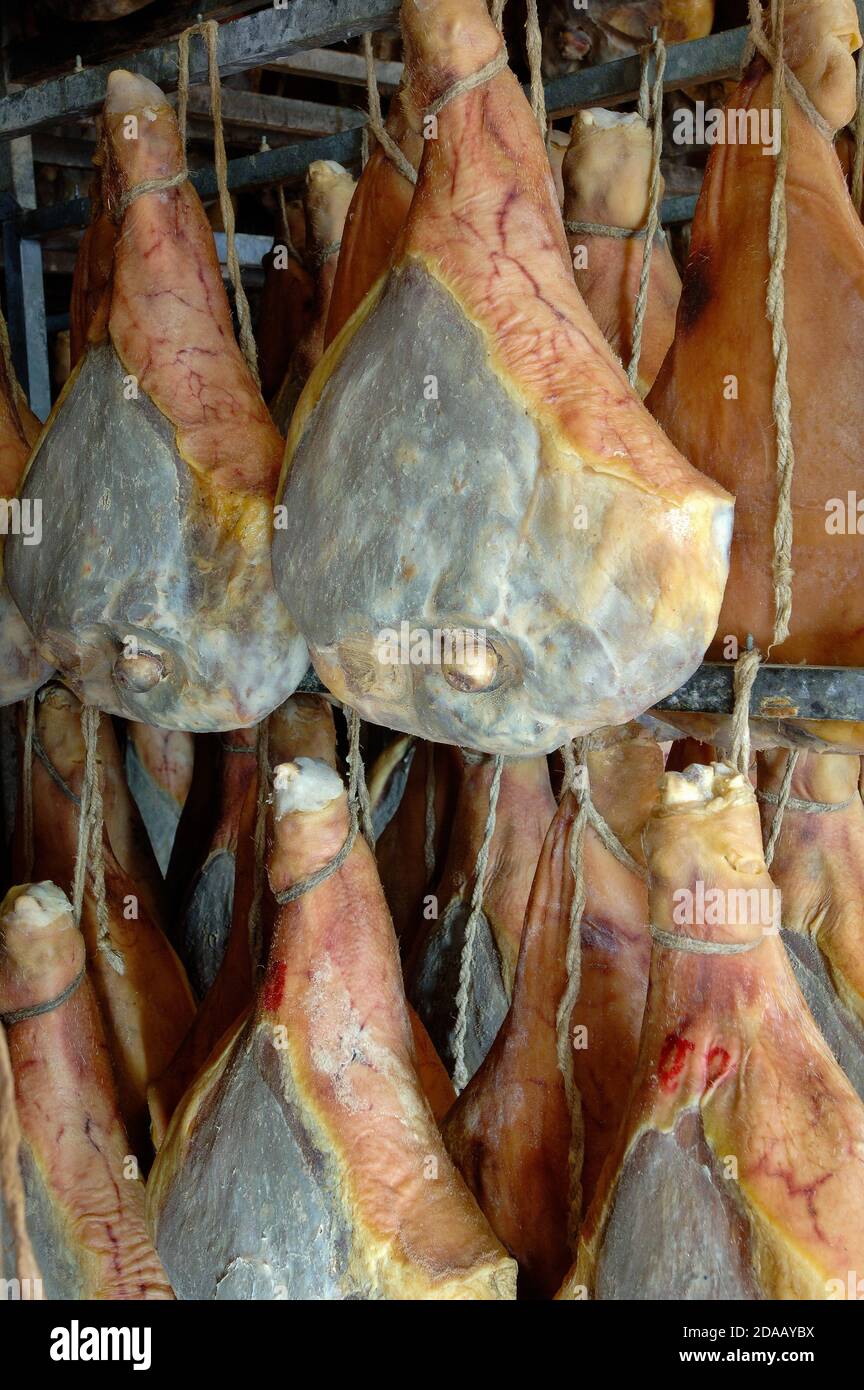 seasoning of Italian raw ham called prosciutto crudo in a raw ham food