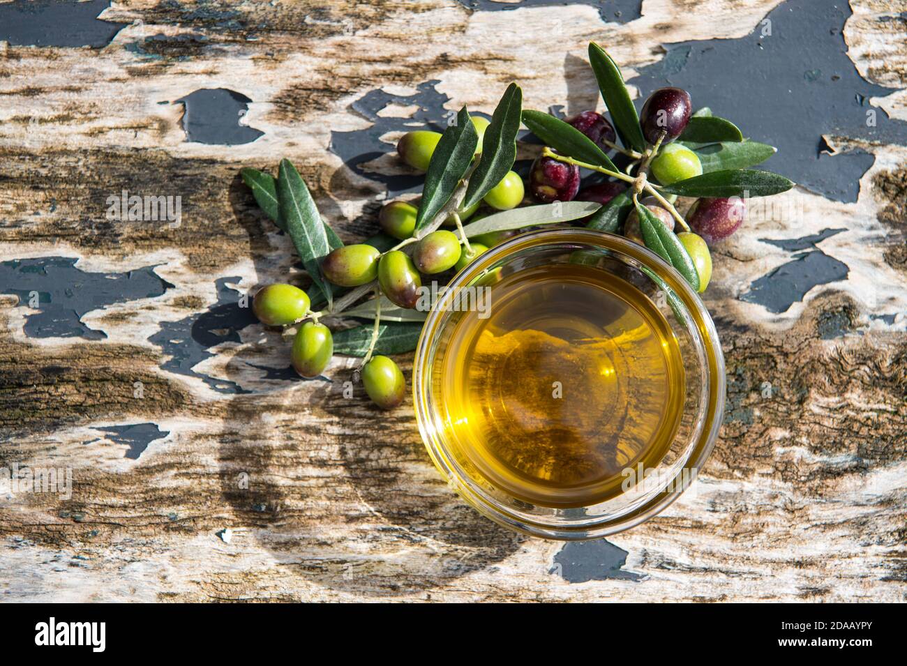 olive extra virgin oil in glass transparent bowls on the wooden background in sunlights. Healthy mediterranean food. Stock Photo