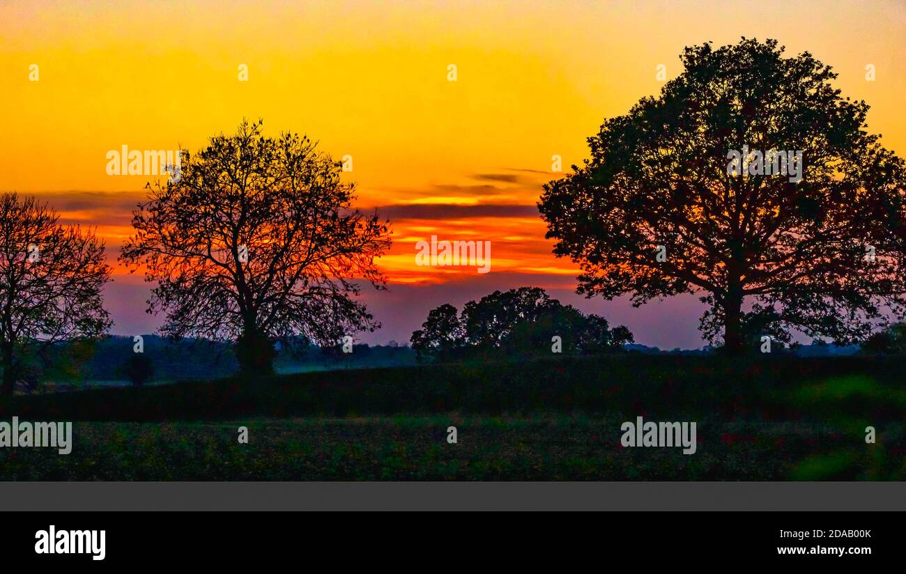 A golden sunset, Oxfordshire. UK Stock Photo