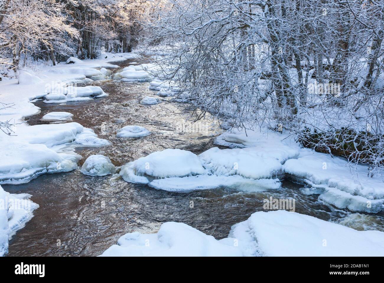 Winter in forest and river landscape Stock Photo - Alamy