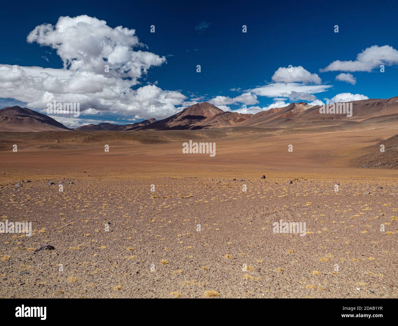 Landscape on Lipez in Bolivia.The province of Sud Lípez is one of the 16 provinces of the department of Potosí, in Bolivia Stock Photo