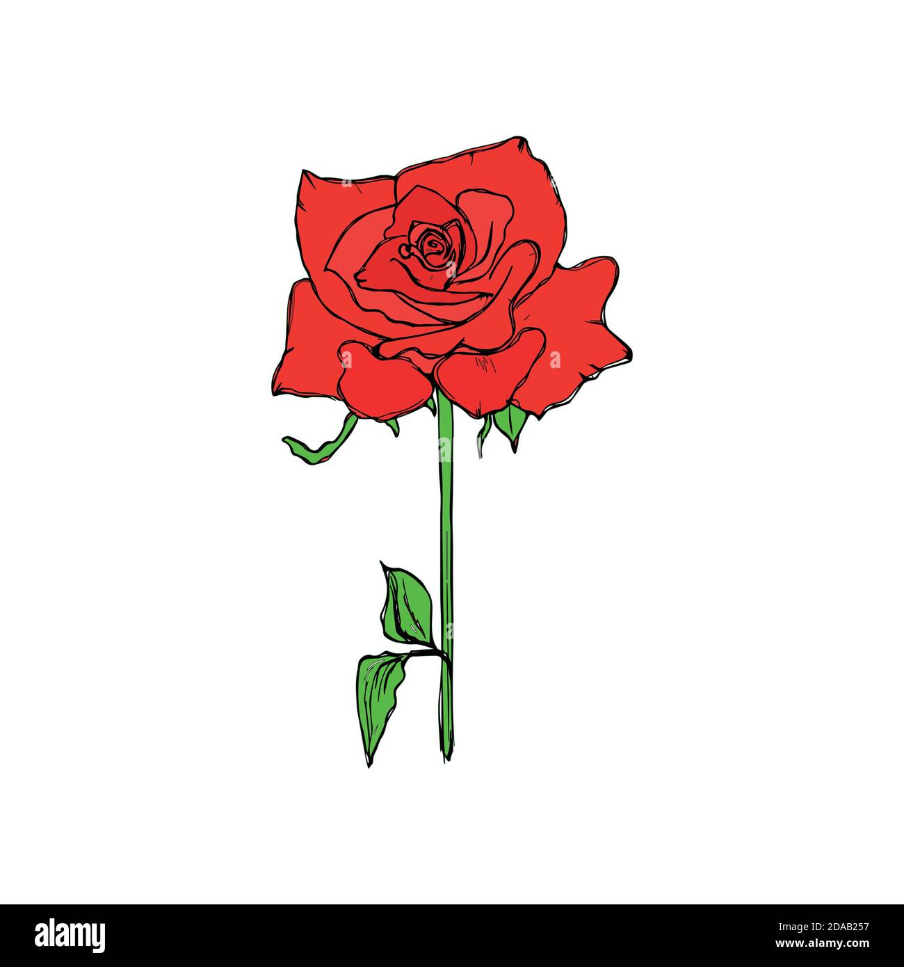 Realistic red rose isolated on white background Stock Vector