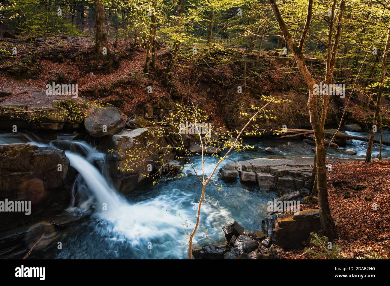 Mountain Stream Spring Mountain stream in forest at spring time. Landscape with waterfall ...