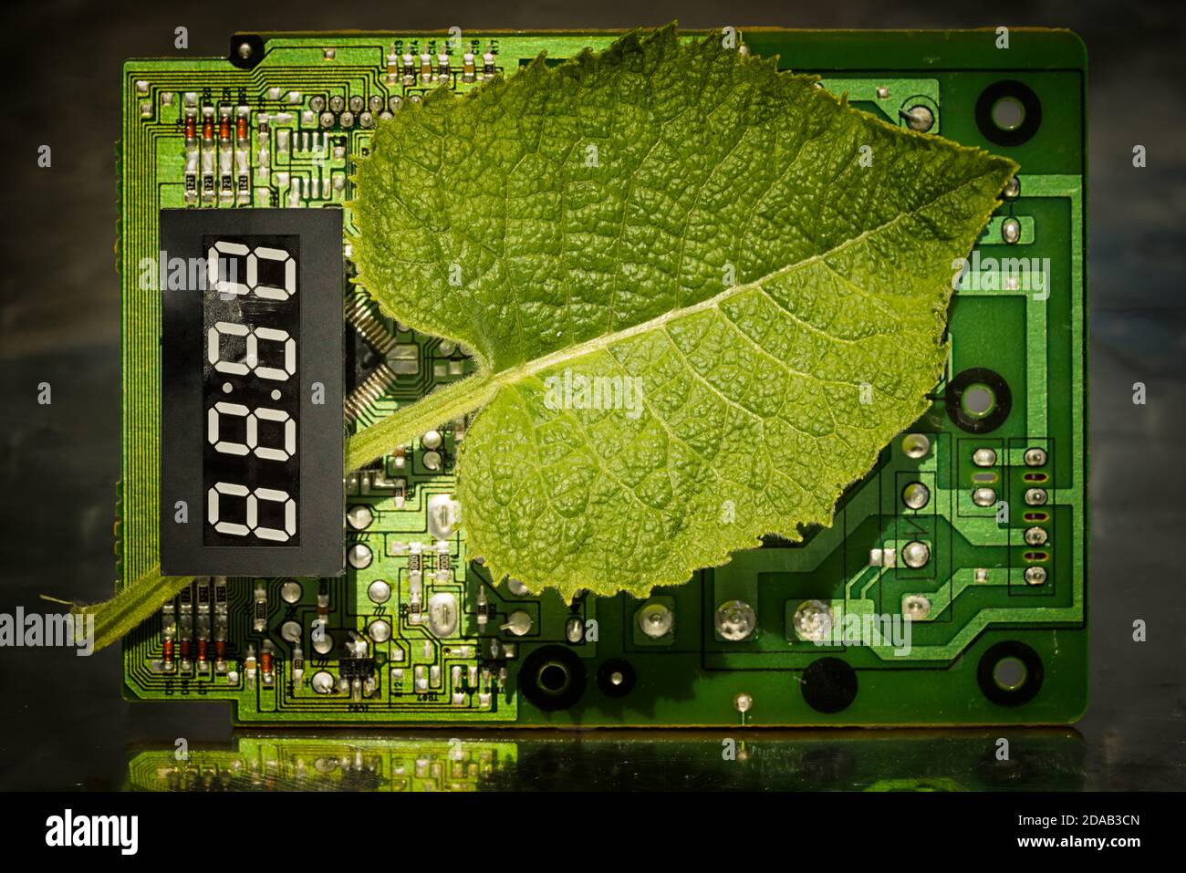 Circuit board and leaf with electronic timer. Concept of eco friendly technology. Green energy. Combination of technology and nature. Stock Photo