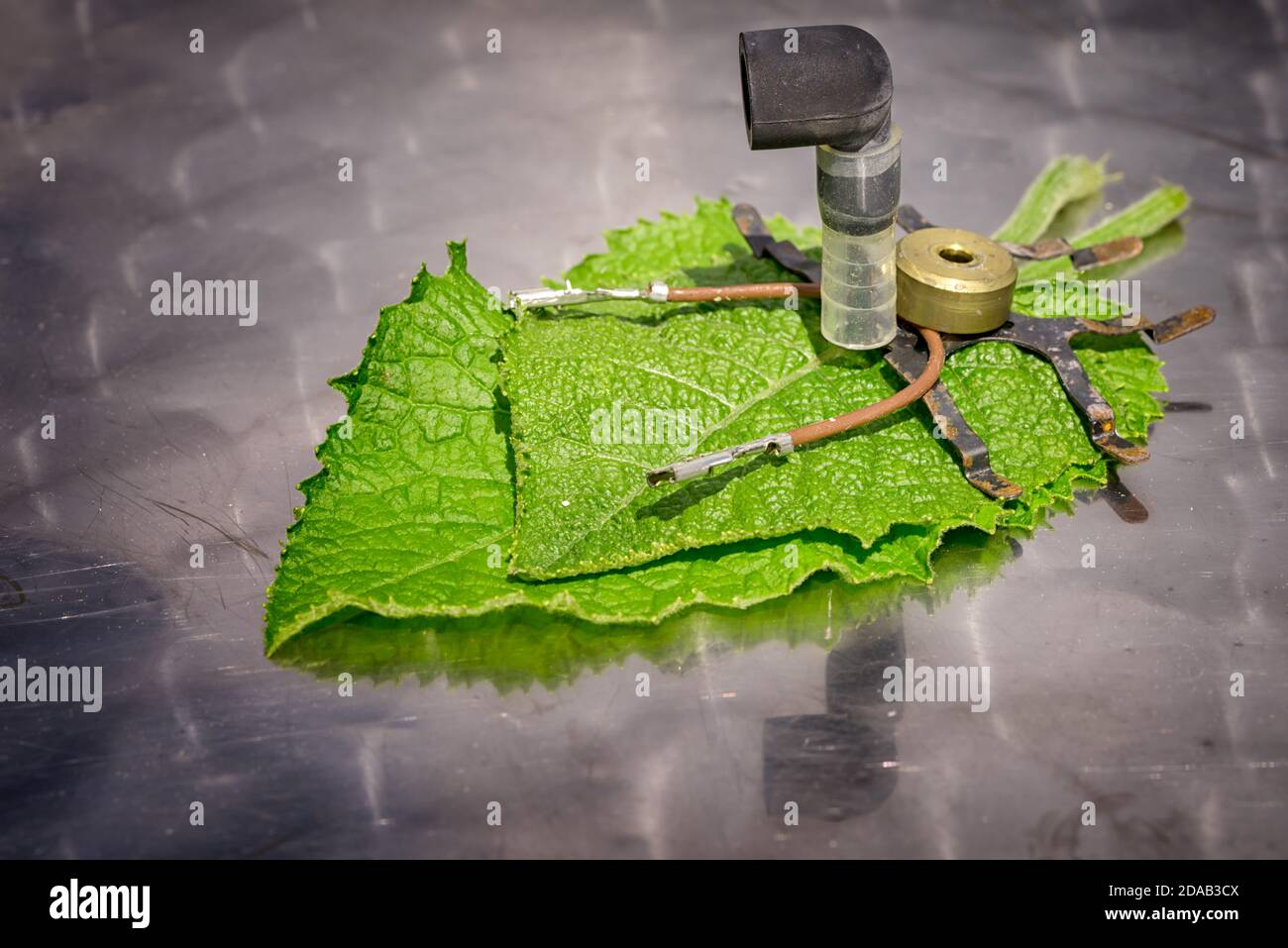 Scorpion robot from spares on a leaves on reflective table. Robotics lesson STEM education. Science and nature concept. Stock Photo