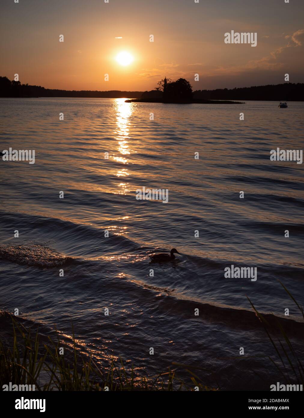 Biale hi-res stock photography and images - Alamy