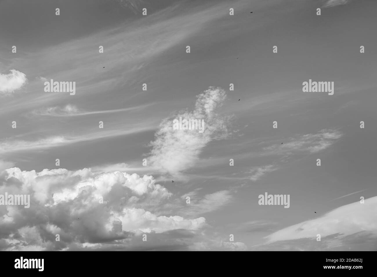 Light clouds with blue sky Black and White Stock Photos & Images - Alamy