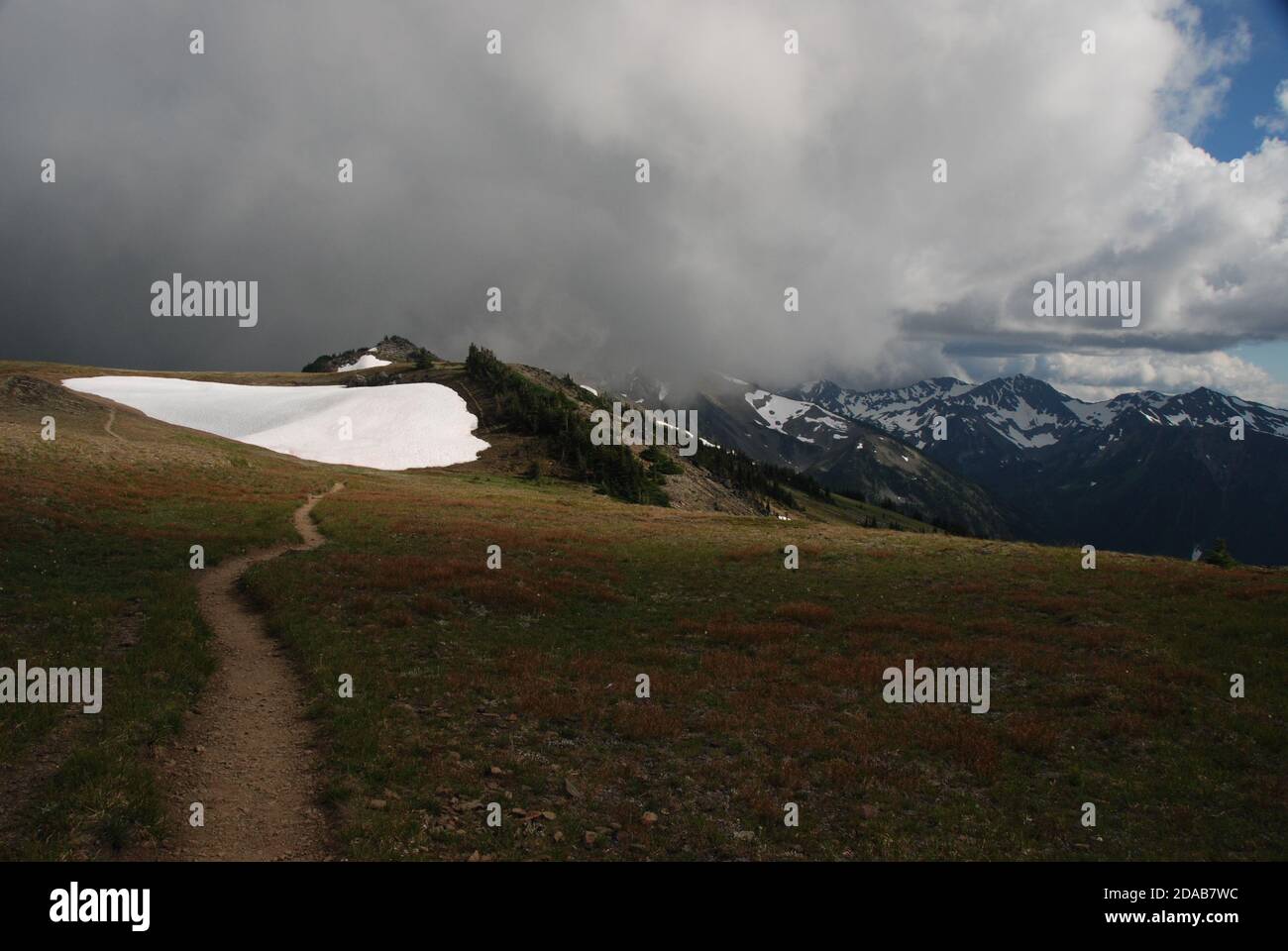 Olympic National Park, USA [OC] [3200x4000] : r/LandscapePhotography