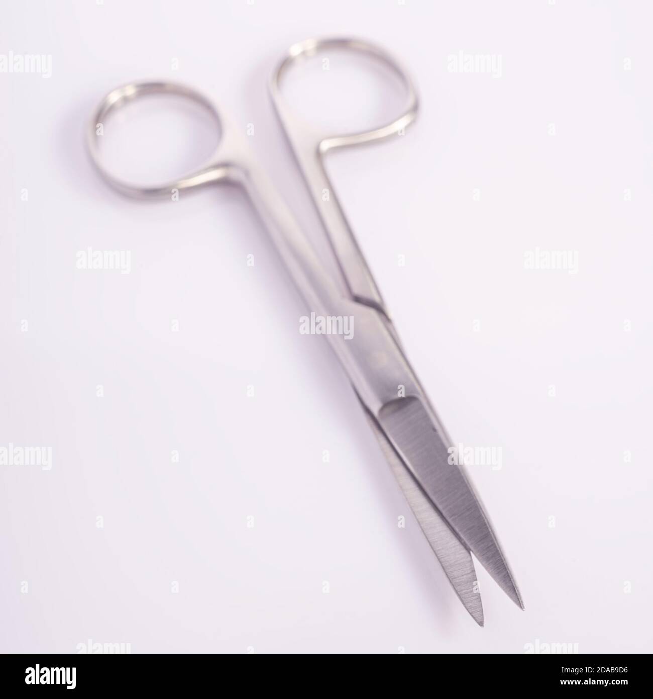 sharppointed surgical scissors on a white background Stock Photo Alamy