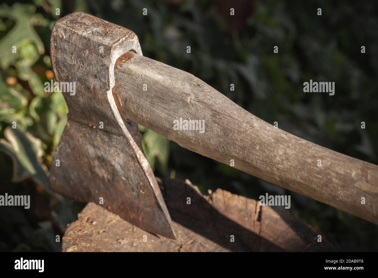 An old rusty ax with wooden handle is stuck in a log Stock Photo