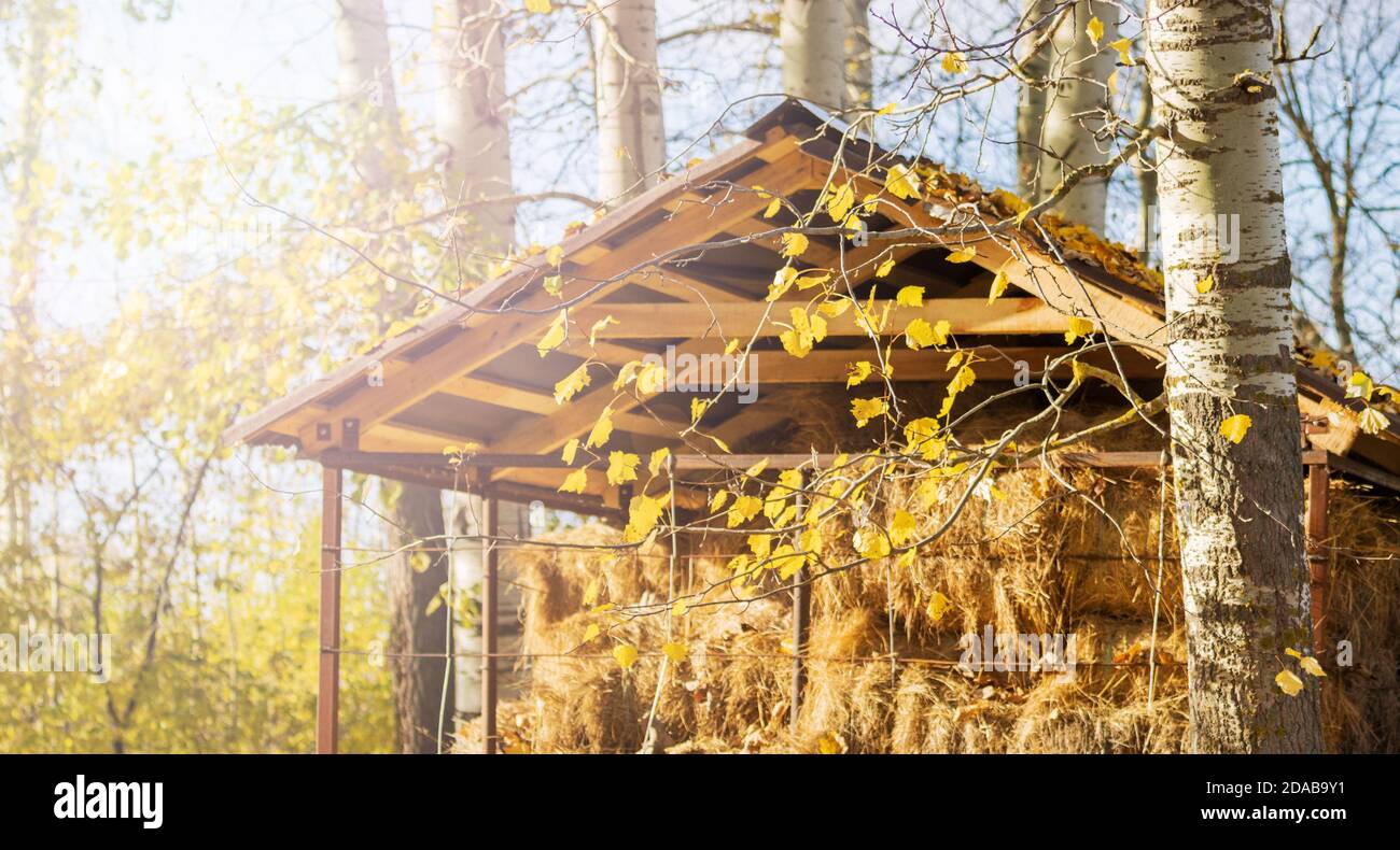 hayloft in beautiful autumn rays Stock Photo