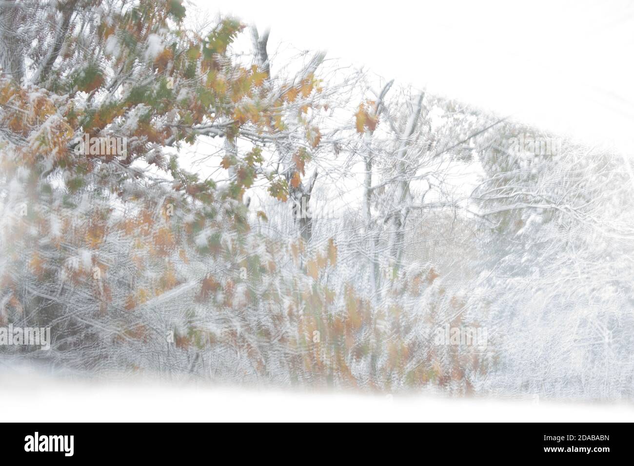 First snow of the season captured in the window reflection in eastern Connecticut fall 2020 Stock Photo