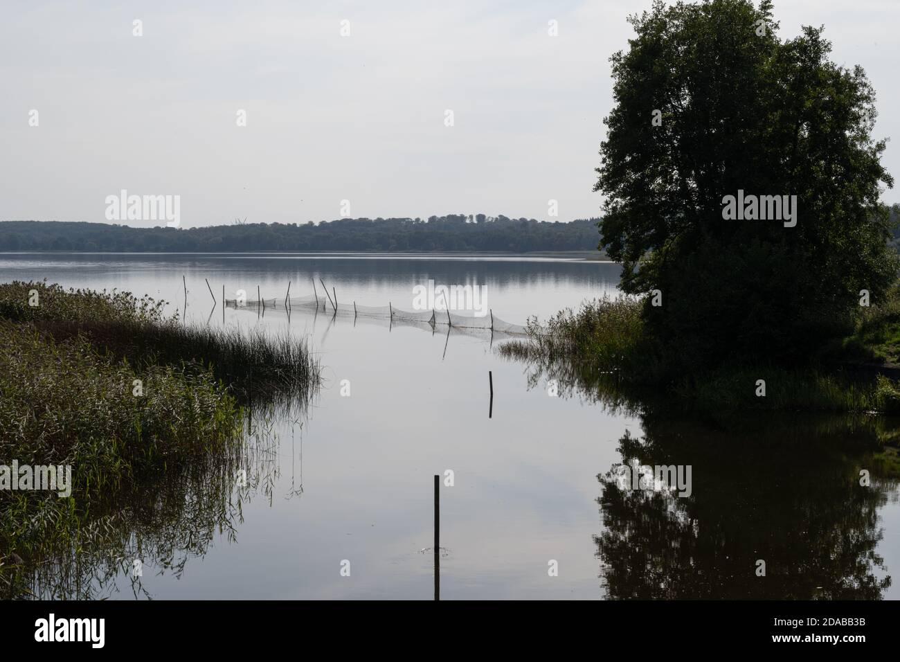 Beautiful scenery of a fishing net in a lake one of the latest days of ...