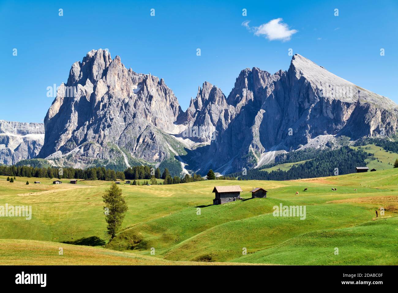 Seiser Alm - Alpe di Siusi - Val Gardena South Tyrol Italy Panorama view  with the Sassolungo mountain peak Stock Photo - Alamy