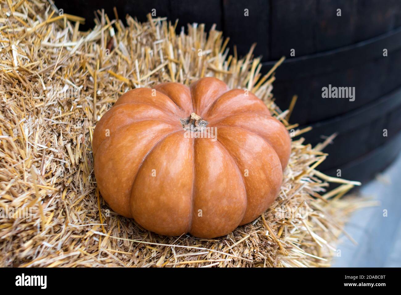 Autumn decor detail with natural straw bale and pumpkin. Harvest and garden outdoor decorations for Halloween, Thanksgiving, autumn season still life. Stock Photo