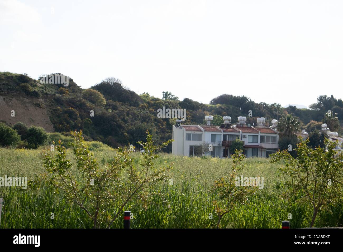 Living buildings, Cyprus Greek architecture, sunshine Stock Photo Alamy