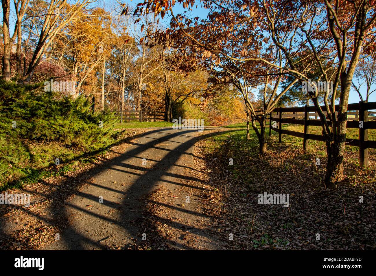 Trees and shadow of fence along gravel road in central Virginia in autumn. Stock Photo