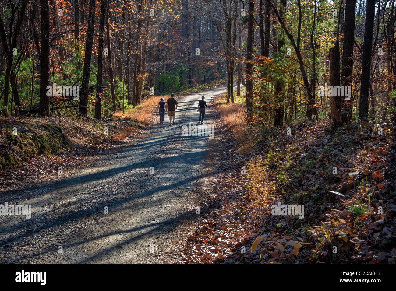Three friends walking down a country road in central Virginia in mid-November. Stock Photo