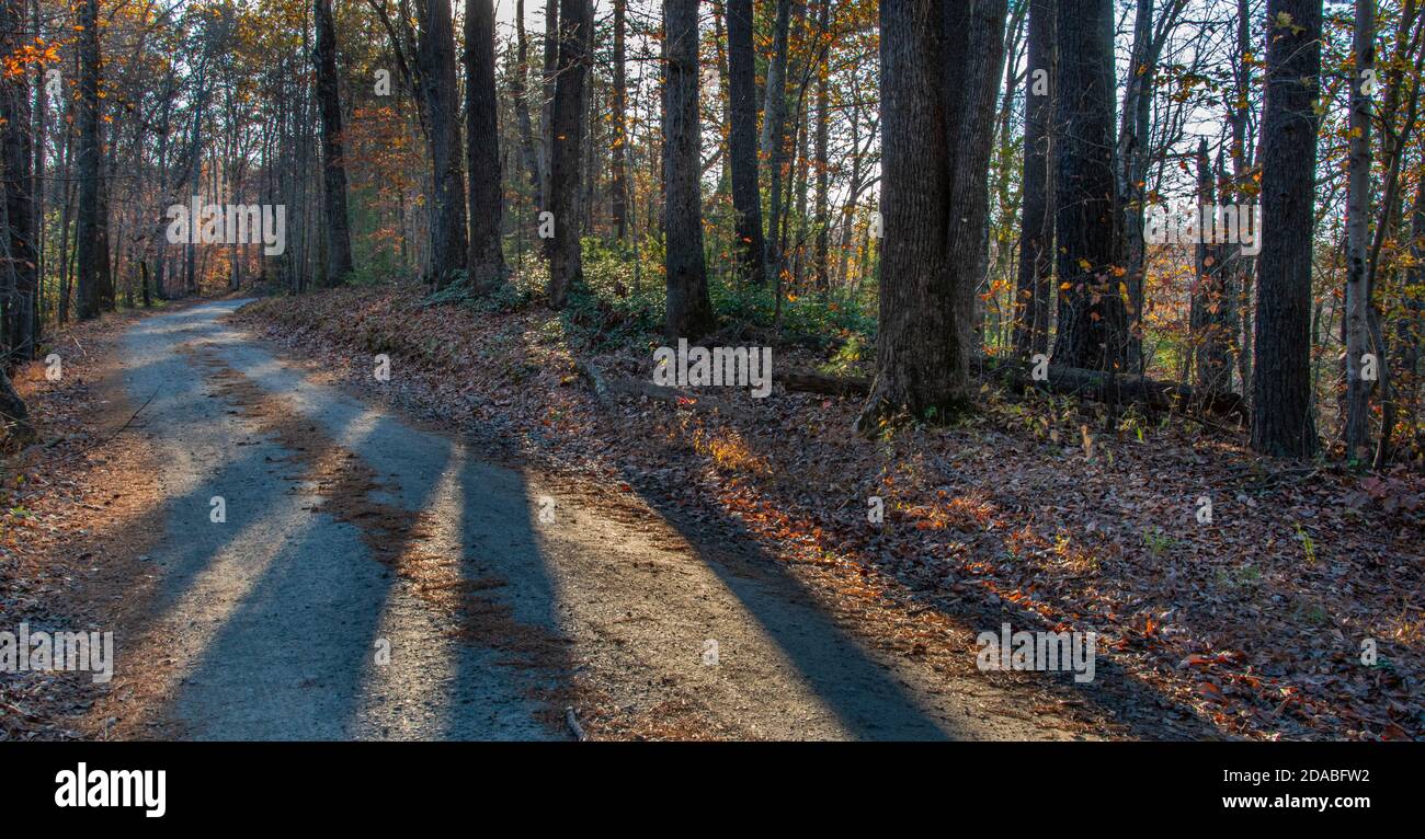 Shadows on gravel road in autumn in central Virginia. Stock Photo