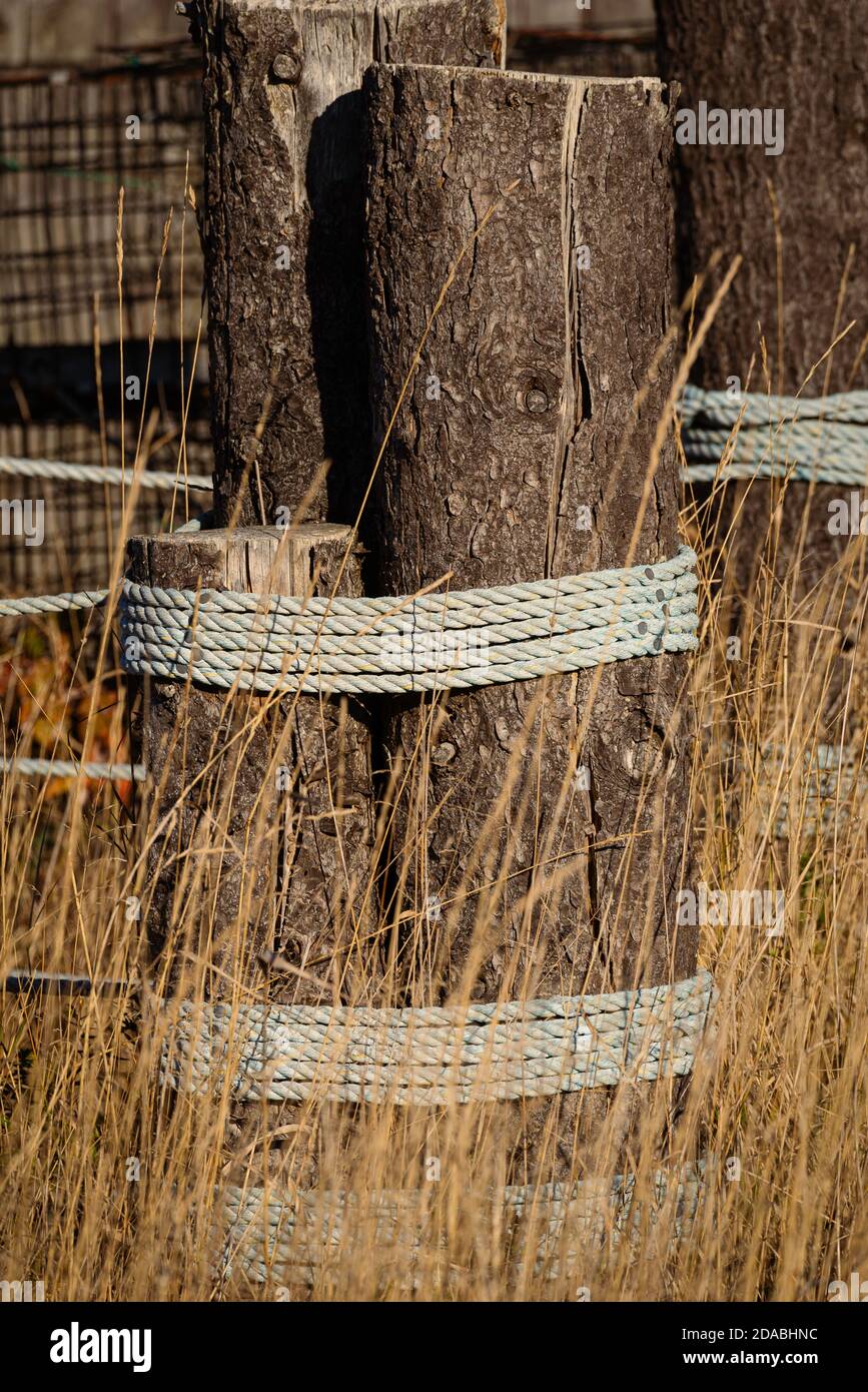 Logs tied with rope to make fence with golden field grass Stock Photo ...