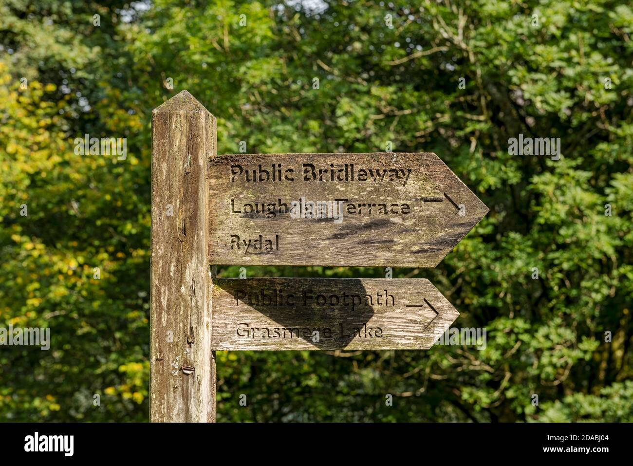 Close up of wooden public footpath bridleway sign to Loughrigg Terrace Rydal and Grasmere Lake Cumbria England UK United Kingdom GB Great Britain Stock Photo