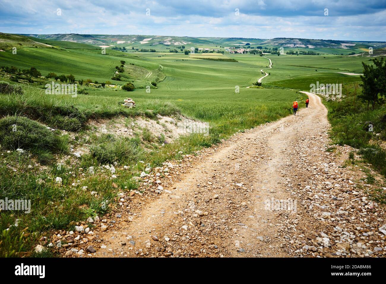The path broadens horizons over the Burgos paramo. Near Hornillos del Camino, Burgos, Castile and Leon, Spain, Europe Stock Photo