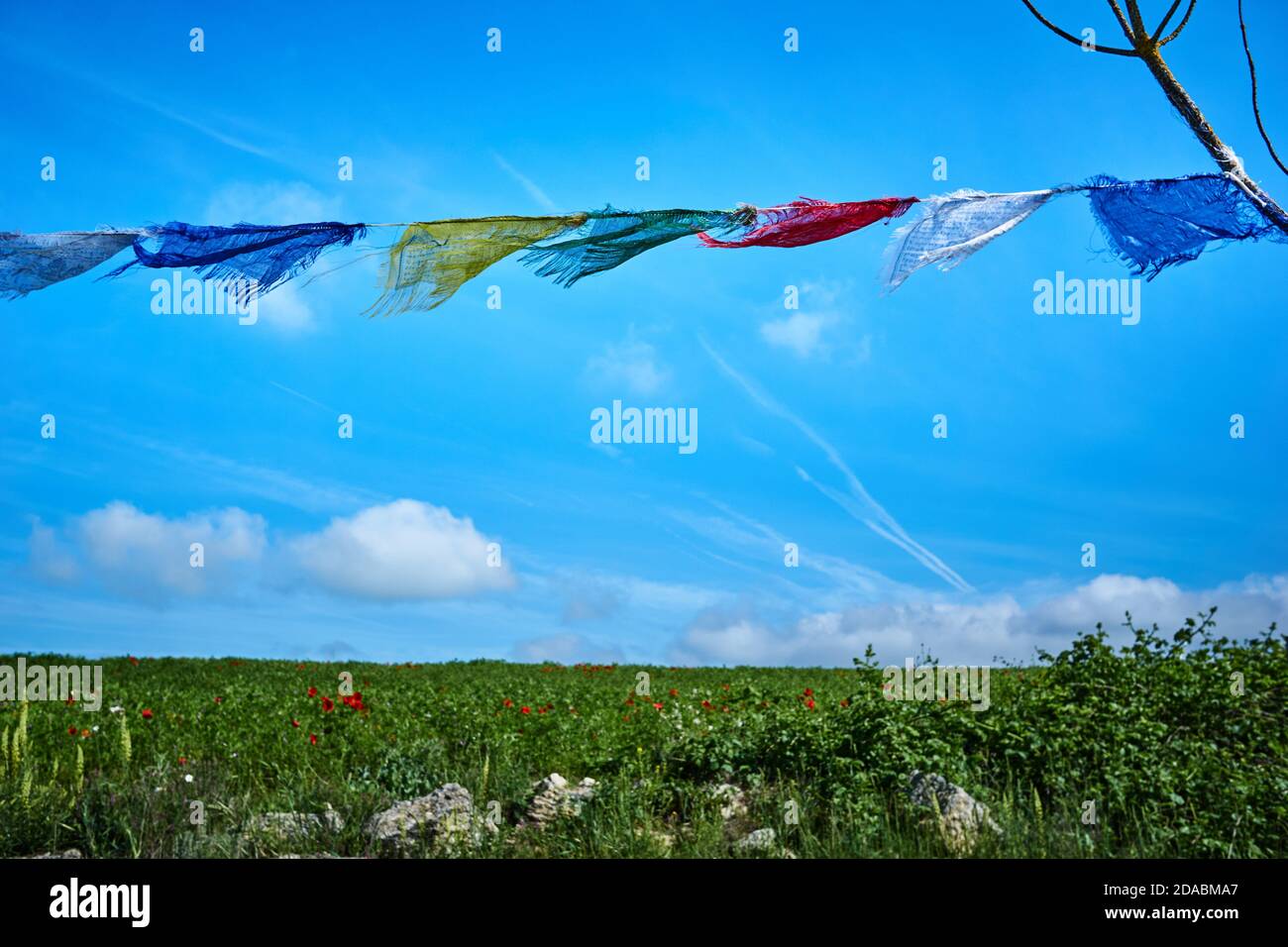 San bol hi-res stock photography and images - Alamy