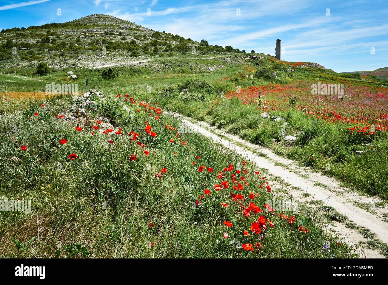 Ruins of a tower when leaving Hontanas. French Way, Way of St. James. Hontanas, Burgos, Castile and Leon, Spain, Europe Stock Photo
