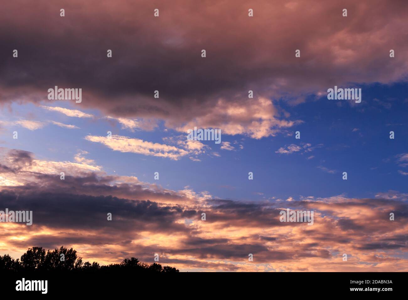 Spectacular magenta and yellow colors in the clouds at golden hour. Skyscape for sky replacement (landscape orientation) Stock Photo