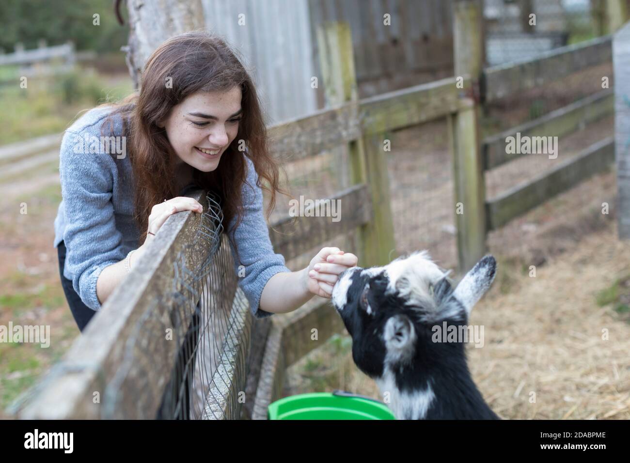 Pretty teenage girl smiling and petting goat in farm setting Stock Photo