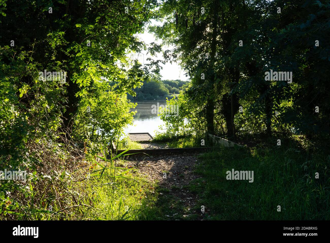 Fisherman’s platform next to backlit trees in still water fishing lake at in summer Stock Photo