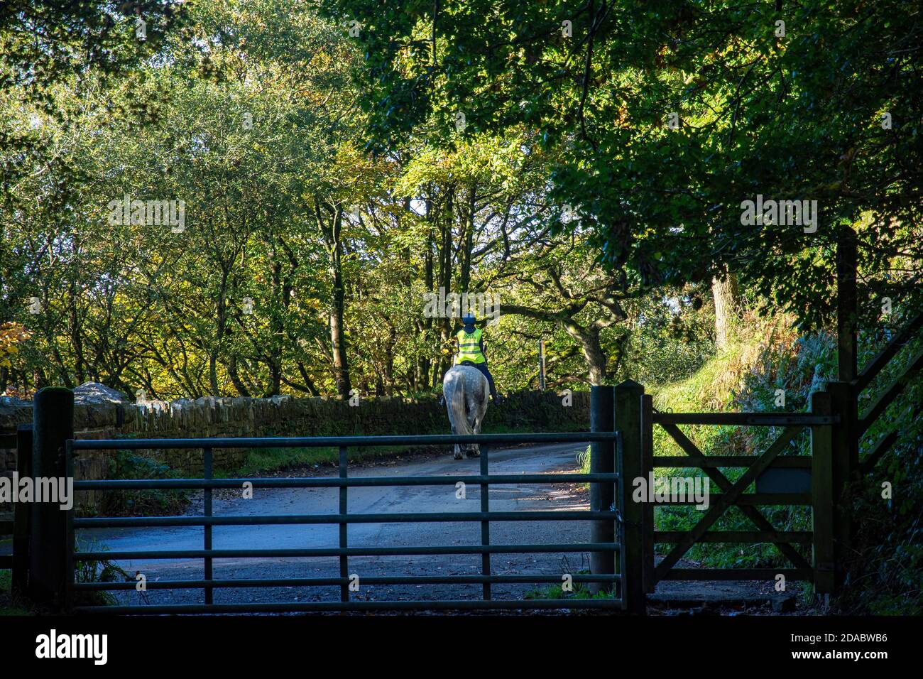 Horse rider on country lane hi-res stock photography and images - Alamy