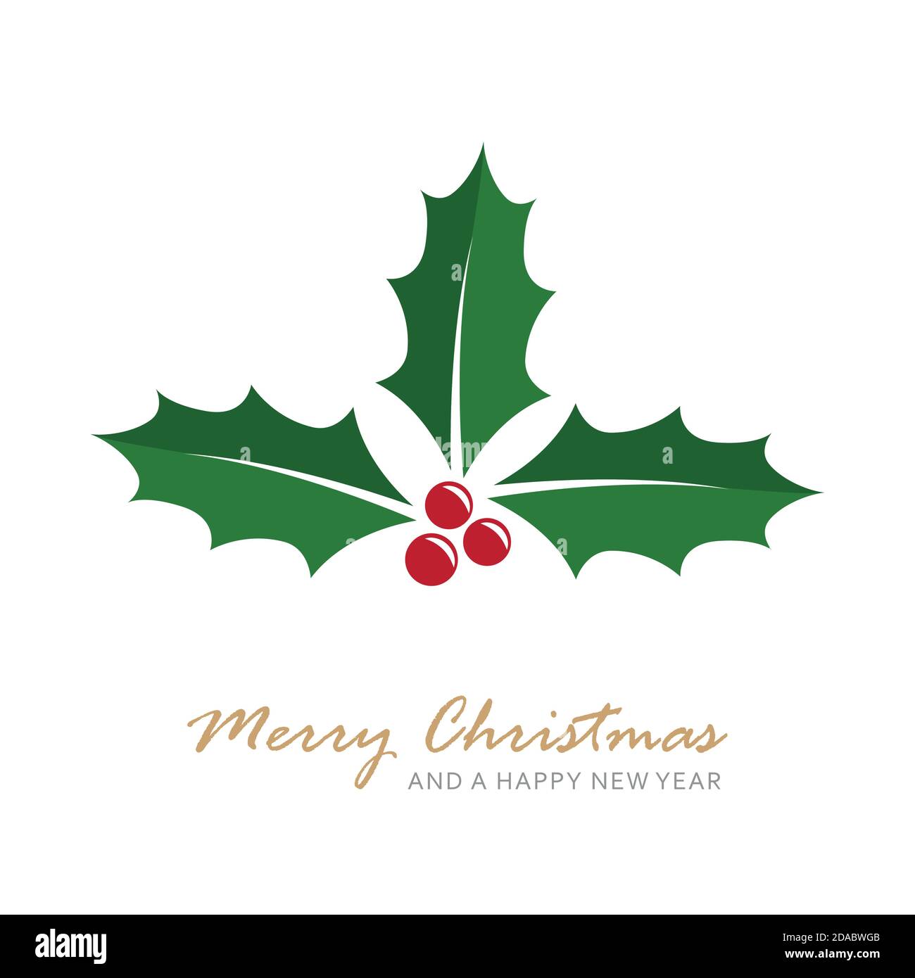 christmas holly berry isoladet on white vector illustration EPS10 Stock ...
