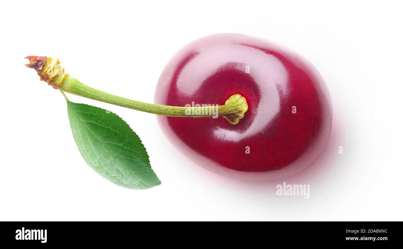 One isolated cherry with leaf top view on white background Stock Photo