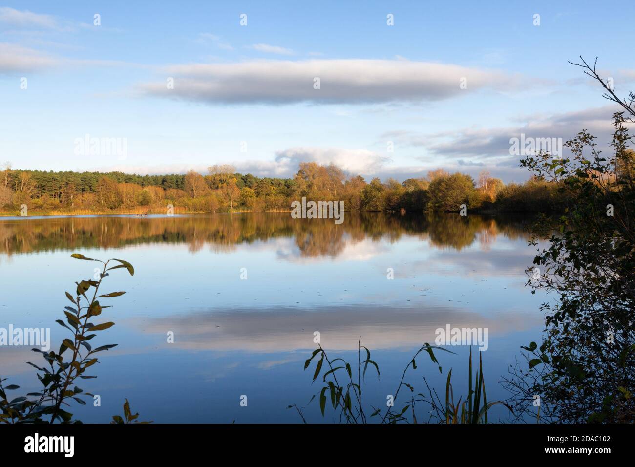 Suffolk landscape; Lackford Lakes nature reserve, run by the Suffolk Wildlife Trust, example of british countryside, Suffolk, East Anglia UK Stock Photo