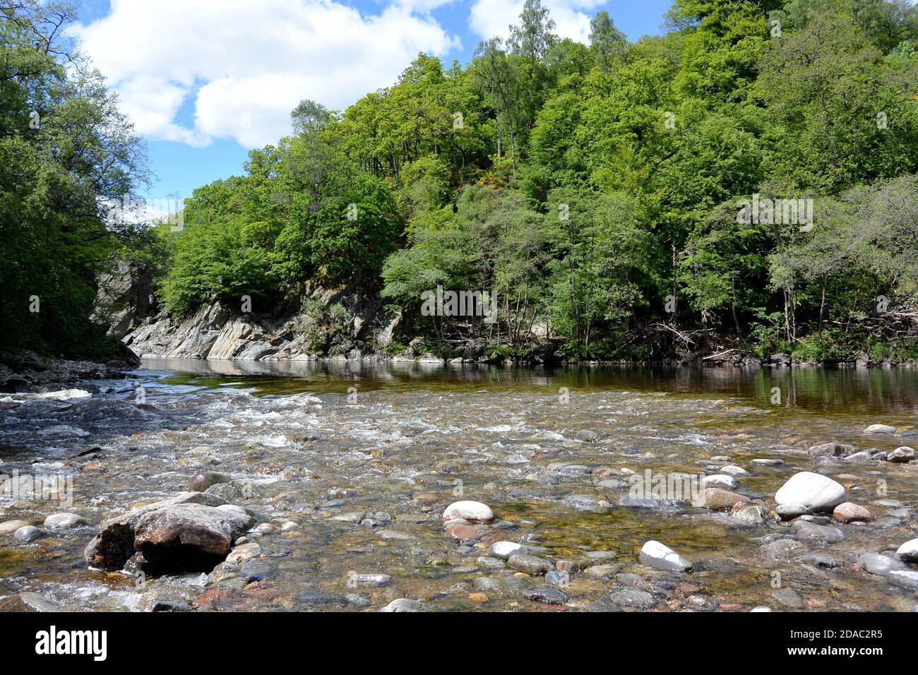 River Garry at Killiecrankie running through forest dominated by beech trees Stock Photo