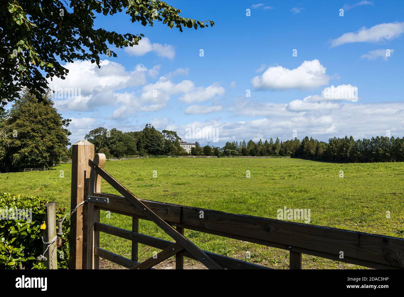 Overlooking a wooden gate into a green field at the estate of Palmerstown House, Johnstown, County Kildare, Ireland Stock Photo