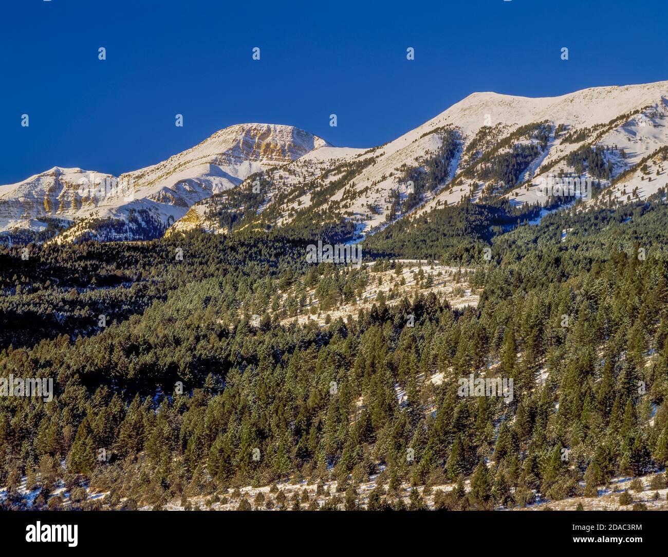 Snowcrest hi-res stock photography and images - Alamy